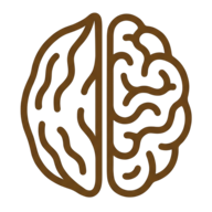 Walnut OT Logo